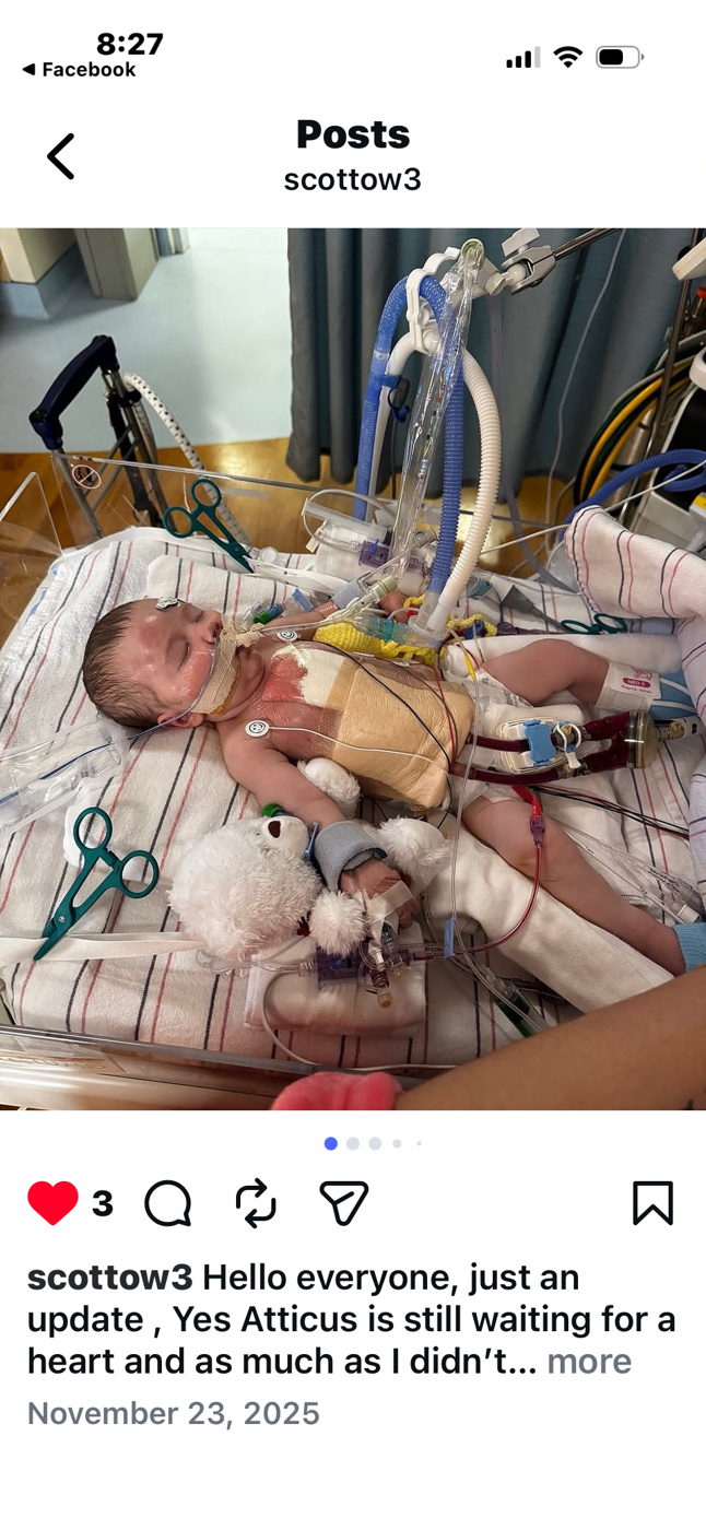 Help Atticus & Athena start their new life β photo 6